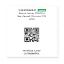 arrival-card-indonesien-mini